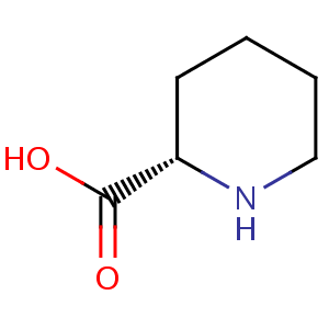 DL_pipecolic_acid