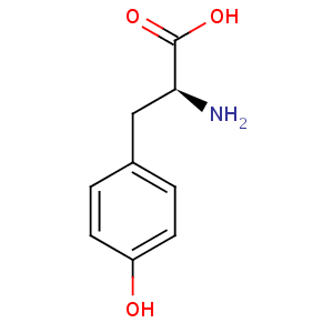 L_tyrosine