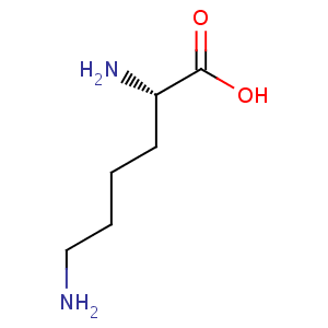 L_lysine