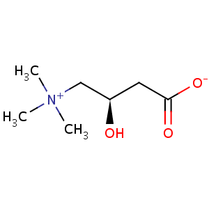 L_carnitine