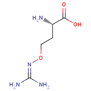 L_canavanine