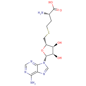 S_Adenosyl_L_homocysteine