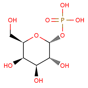 alpha_D_galactose_1_phosphate