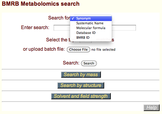 example search form